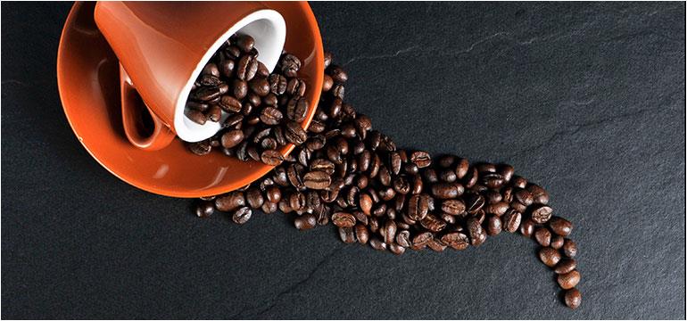 中非咖啡产业合作高端论坛在海南澄迈召开
